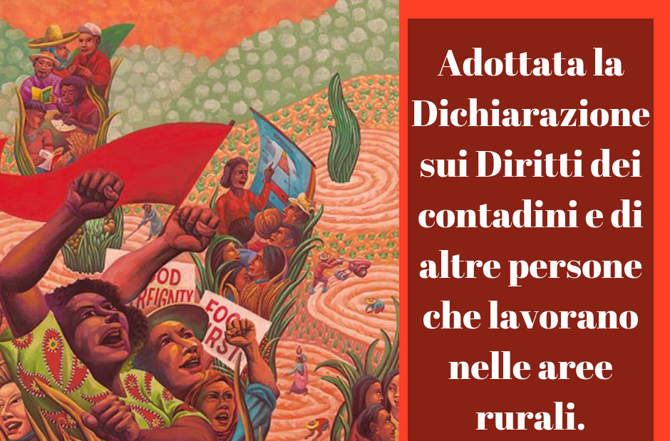 Comunicato Stampa ARI: adottata la Dichiarazione sui Diritti dei contadini e di altre persone che lavorano nelle aree rurali da parte del Comitato III dell'Assemblea generale delle Nazioni Unite