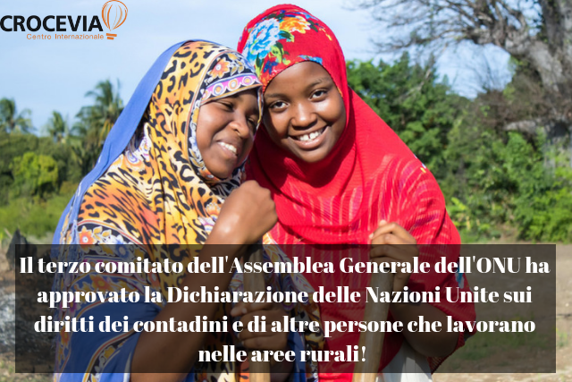 Associazioni e ONG denunciano l’astensione dell’Italia durante l’adozione della Dichiarazione sui Diritti dei contadini all’ONU: ennesima occasione persa in tema di diritti e agricoltura