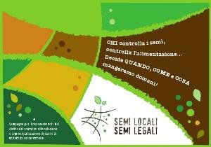 Semi locali, semi legali