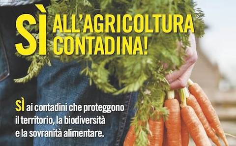 THE POPULAR CAMPAIGN FOR PEASANT AGRICULTURE IN THE CONTEXT OF ITALIAN AGRARIAN SYSTEM 5